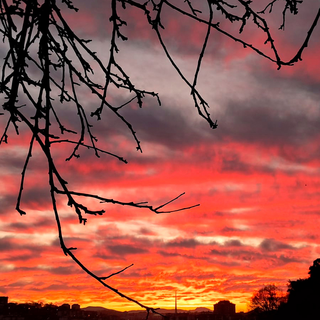Atardecer rojo con ramas de árbol en primer plano, simbolizando la reflexión y el proceso de sanación con la ayuda de Araceli Vázquez, psicóloga en Irún