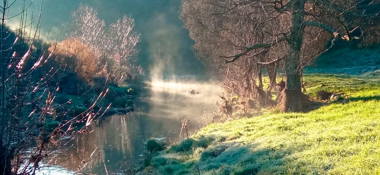 rio niebla consulta araceli vazquez irun - Araceli Vázquez Psicóloga en Irún Río cubierto de niebla al amanecer, rodeado de árboles y vegetación, reflejando calma y renovación en la consulta de Araceli Vázquez en Irún